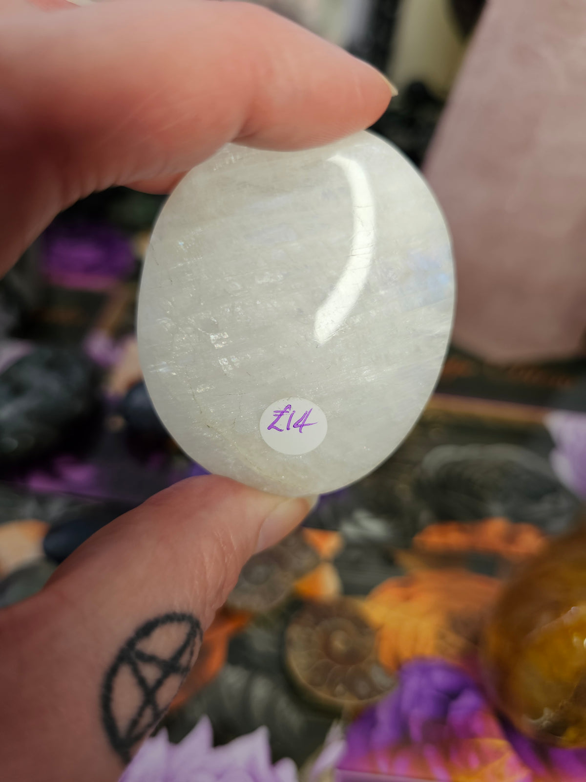 White Moonstone Palm