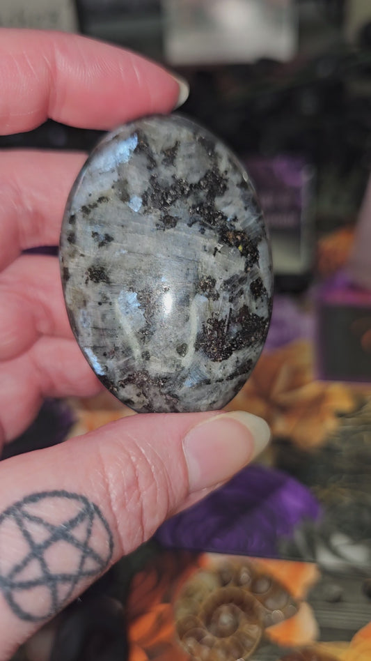 Larvikite Palmstone