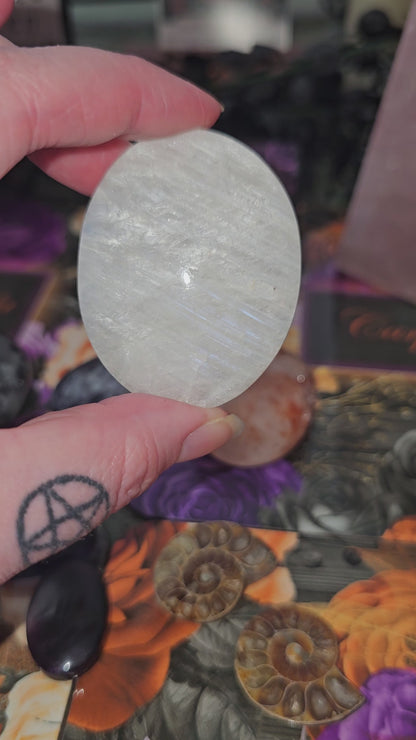 White Moonstone Palm