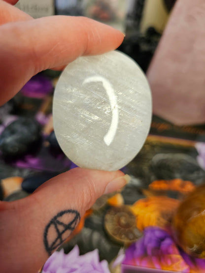 White Moonstone Palm